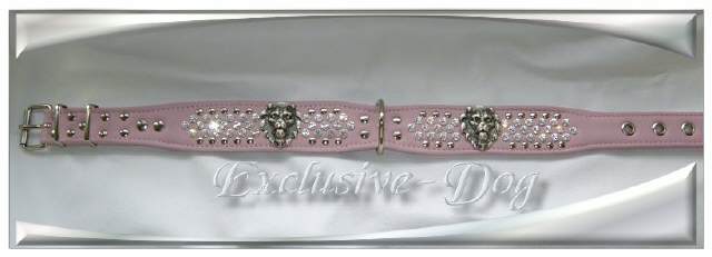 Bild vergr&ouml;&szlig;ern