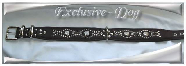 Bild vergr&ouml;&szlig;ern