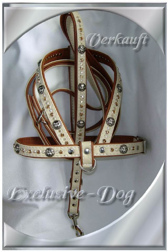 Bild vergr&ouml;&szlig;ern