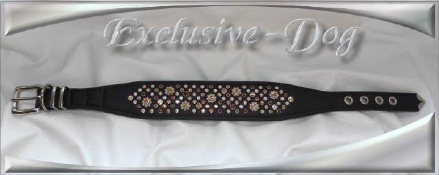 Bild vergr&ouml;&szlig;ern