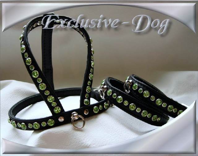 Bild vergr&ouml;&szlig;ern