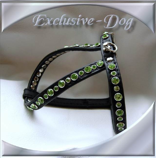 Bild vergr&ouml;&szlig;ern