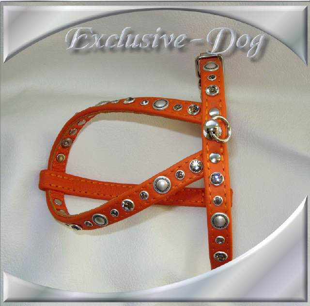 Bild vergr&ouml;&szlig;ern