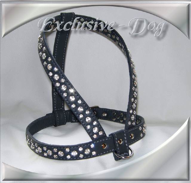 Bild vergr&ouml;&szlig;ern