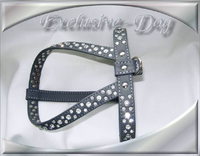 Bild vergr&ouml;&szlig;ern