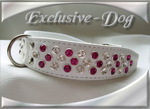 Bild vergr&ouml;&szlig;ern