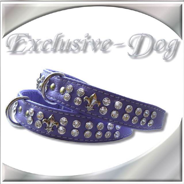 Luxus Hundehalsband Lila Halsband Lilie PURPLE