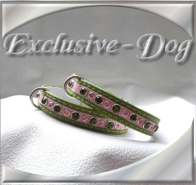 XXS Lederhalsband Strasshalsband Hundehalsband