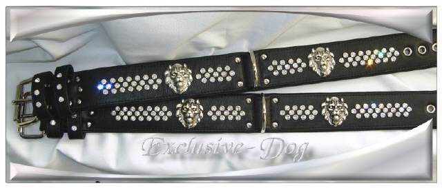 Bild vergr&ouml;&szlig;ern