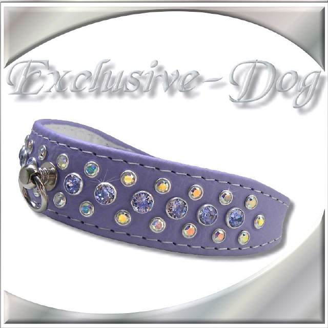 Hundehalsband TO BLAZE