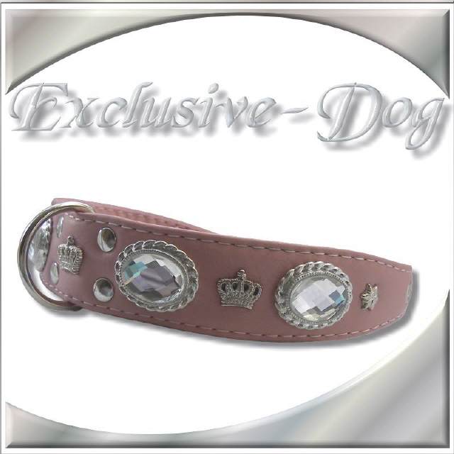 Hundehalsband DUTCH