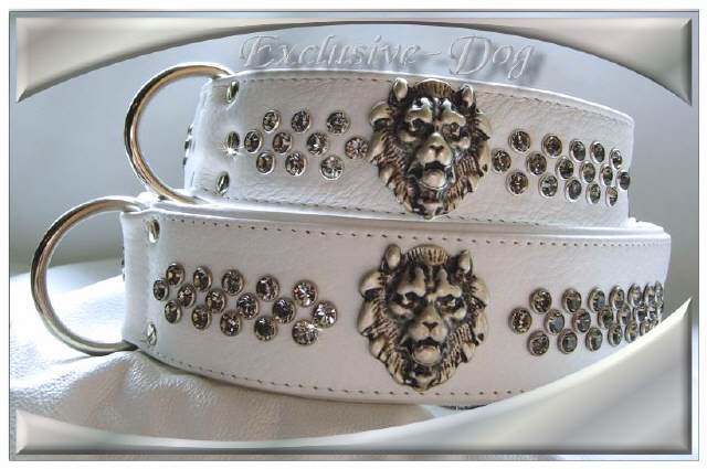 Bild vergr&ouml;&szlig;ern