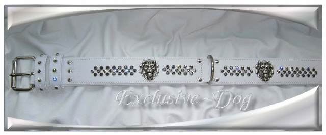 Bild vergr&ouml;&szlig;ern